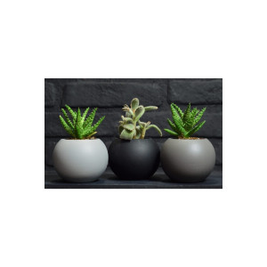 Monochrome Beton Saksı Seti (3’lü)