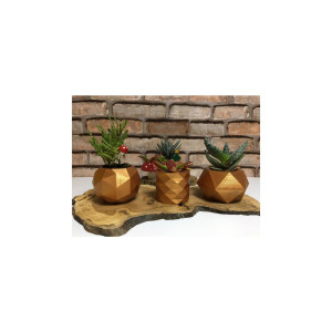 Karamel Beton Saksı Seti – Miya Tasarım